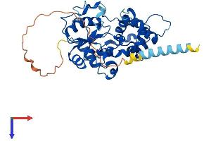 AlphaFold protein structure predicition of Mouse Recombinant Chst10 Protein, UniprotID Q6PGK7