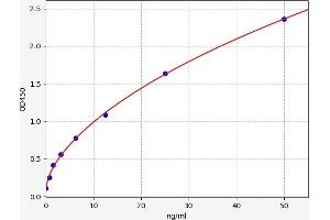 Lipoprotein Lipase (LPL) ELISA Kit