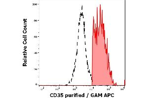 Separation of human CD35 positive lymphocytes (red-filled) from CD35 negative lymphocytes (black-dashed) in flow cytometry analysis (surface staining) of human peripheral whole blood stained using anti-human CD35 (E11) purified antibody (concentration in sample 3 μg/mL, GAM APC). (CD35 anticorps)