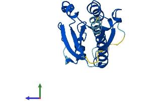 AlphaFold protein structure predicition of Mouse Recombinant Ift22 Protein, UniprotID Q9DAI2