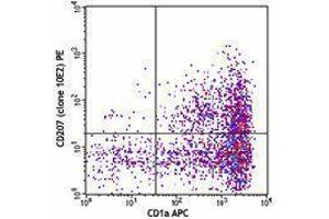 Flow Cytometry (FACS) image for anti-CD207 Molecule, Langerin (CD207) antibody (PE) (ABIN2662533) (CD207 anticorps  (PE))