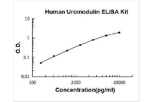Uromodulin (UMOD) ELISA Kit