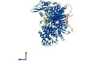 AlphaFold protein structure predicition of Mouse Recombinant Jak3 Protein, UniprotID Q62137