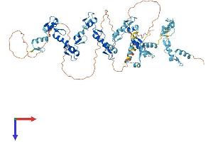 AlphaFold protein structure predicition of Human Recombinant ZNF418 Protein, UniprotID Q8TF45