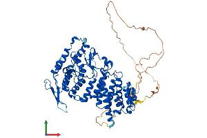 AlphaFold protein structure predicition of Mouse Recombinant Men1 Protein, UniprotID O88559