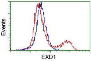 HEK293T cells transfected with either RC206223 overexpress plasmid (Red) or empty vector control plasmid (Blue) were immunostained by anti-EXD1 antibody (ABIN2454022), and then analyzed by flow cytometry. (EXD1 anticorps)