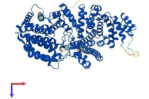AlphaFold protein structure predicition of Mouse Recombinant Ncbp1 Protein, UniprotID Q3UYV9