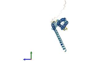 AlphaFold protein structure predicition of Mouse Recombinant Orai2 Protein, UniprotID Q8BH10
