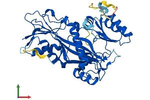 AlphaFold protein structure predicition of Human Recombinant TTL Protein, UniprotID Q8NG68