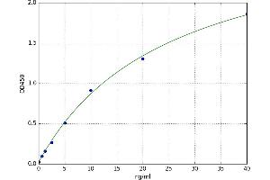 A typical standard curve