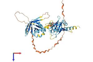 AlphaFold protein structure predicition of Mouse Recombinant Ptov1 Protein, UniprotID Q91VU8