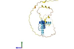 AlphaFold protein structure predicition of Mouse Recombinant Scx Protein, UniprotID Q64124