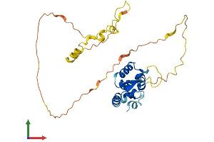 AlphaFold protein structure predicition of Human Recombinant FOXR1 Protein, UniprotID Q6PIV2