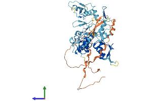 AlphaFold protein structure predicition of Human Recombinant HINFP Protein, UniprotID Q9BQA5