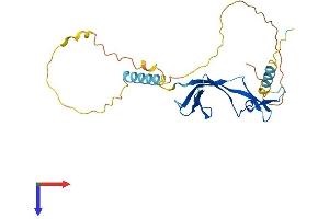 AlphaFold protein structure predicition of Human Recombinant EAF1 Protein, UniprotID Q96JC9