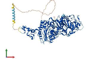 AlphaFold protein structure predicition of Human Recombinant ENPP1 Protein, UniprotID P22413