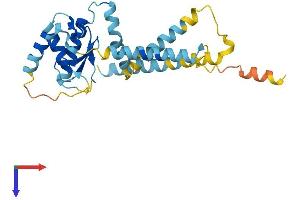 AlphaFold protein structure predicition of Human Recombinant RNF170 Protein, UniprotID Q96K19