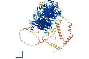 AlphaFold protein structure predicition of Human Recombinant LLGL1 Protein, UniprotID Q15334