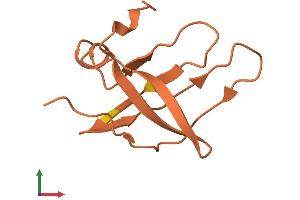 AlphaFold protein structure predicition of Mouse Recombinant Kcnip3 Protein, UniprotID P0C092