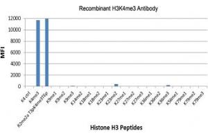 The recombinant H3K4me3 antibody specifically reacts to Histone H3 trimethylated at Lysine 4 (K4me3). (Recombinant Histone 3 anticorps  (3meLys4))