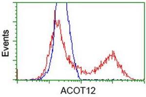 HEK293T cells transfected with either RC210445 overexpress plasmid (Red) or empty vector control plasmid (Blue) were immunostained by anti-ACOT12 antibody (ABIN2454429), and then analyzed by flow cytometry. (ACOT12 anticorps)