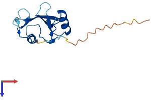 AlphaFold protein structure predicition of Mouse Recombinant Sh2d1a Protein, UniprotID O88890