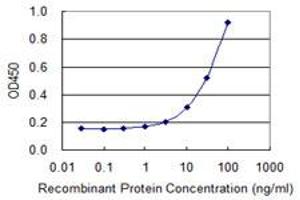 Detection limit for recombinant GST tagged TK1 is 1 ng/ml as a capture antibody.