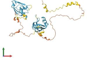 AlphaFold protein structure predicition of Mouse Recombinant Nherf2 Protein, UniprotID Q9JHL1