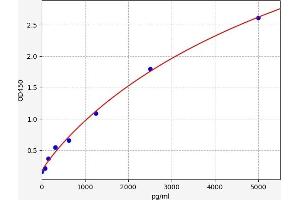 Typical standard curve (MECP2 Kit ELISA)