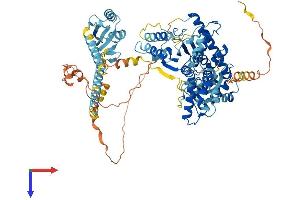 AlphaFold protein structure predicition of Human Recombinant SPG7 Protein, UniprotID Q9UQ90