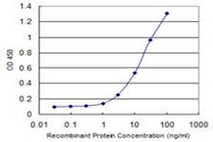 Detection limit for recombinant GST tagged CAMK1D is 0. (CAMK1D anticorps  (AA 1-95))