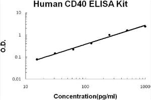 Human CD40/TNFRSF5 Accusignal ELISA Kit Human CD40/TNFRSF5 AccuSignal ELISA Kit standard curve. (CD40 Kit ELISA)