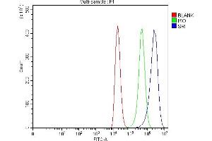 Flow Cytometry analysis of 293T cells using anti-SRI antibody (ABIN7599836).
