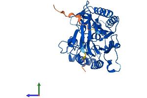 AlphaFold protein structure predicition of Human Recombinant ADPRM Protein, UniprotID Q3LIE5