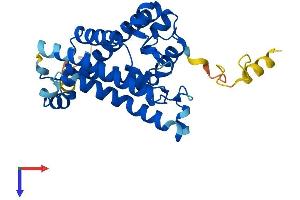 AlphaFold protein structure predicition of Mouse Recombinant Ch25h Protein, UniprotID Q9Z0F5