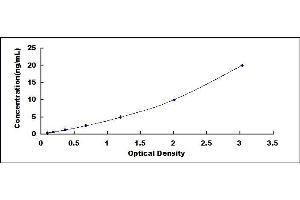 Typical standard curve (Major Basic Protein Kit ELISA)