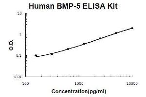 Human BMP-5 PicoKine ELISA Kit standard curve