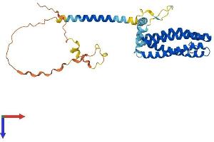 AlphaFold protein structure predicition of Mouse Recombinant Scamp3 Protein, UniprotID O35609