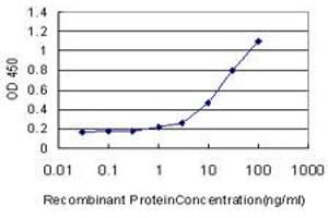 Detection limit for recombinant GST tagged ATG3 is approximately 1ng/ml as a capture antibody. (ATG3 anticorps  (AA 1-100))