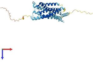 AlphaFold protein structure predicition of Human Recombinant ACKR4 Protein, UniprotID Q9NPB9