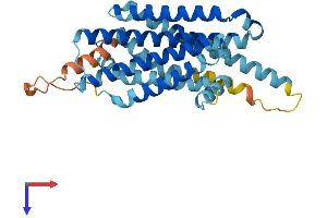 AlphaFold protein structure predicition of Human Recombinant MC1R Protein, UniprotID Q01726