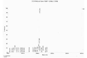 Image no. 3 for Follicle Stimulating Hormone, beta Polypeptide (FSHB) peptide (Ovalbumin) (ABIN5666179) (Follicle Stimulating Hormone, beta Polypeptide (FSHB) peptide (Ovalbumin))