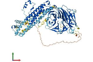 AlphaFold protein structure predicition of Mouse Recombinant Anapc4 Protein, UniprotID Q91W96