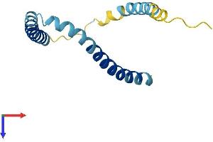 AlphaFold protein structure predicition of Mouse Recombinant Kcne2 Protein, UniprotID Q9D808
