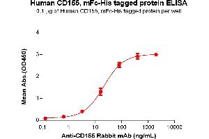 ELISA plate pre-coated by 1 μg/mL (100 μL/well) Human CD155 Protein, mFc-His Tag(ABIN6961100, ABIN7042229 and ABIN7042230) can bind Anti-CD155 Rabbit mAb in a linear range of 3.