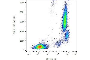 Flow cytometry analysis (surface staining) of human peripheral blood leukocytes with anti-human CD157 (SY11B5) PE. (BST1 anticorps  (PE))