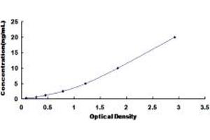 Arachidonate Lipoxygenase 3 (ALOXE3) ELISA Kit