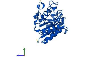 AlphaFold protein structure predicition of Mouse Recombinant Nqo2 Protein, UniprotID Q9JI75
