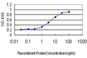 Detection limit for recombinant GST tagged RNASEH1 is approximately 0. (Ribonuclease H1 anticorps  (AA 189-286))