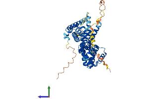 AlphaFold protein structure predicition of Human Recombinant P3H4 Protein, UniprotID Q92791 (P3H4 (AA 1-437) protein (His tag))